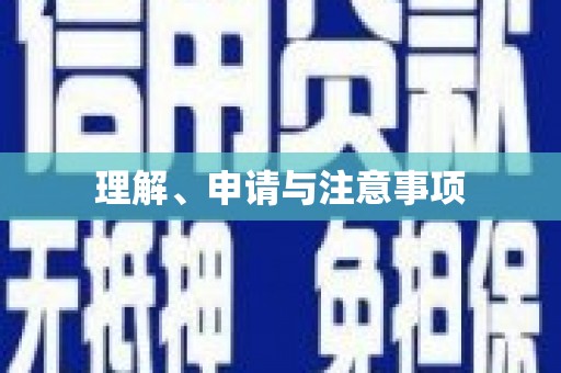 乐平理解、申请与注意事项