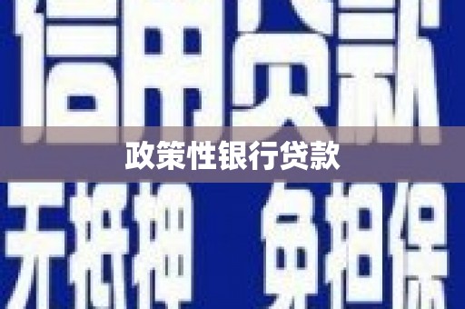 乐平政策性银行贷款
