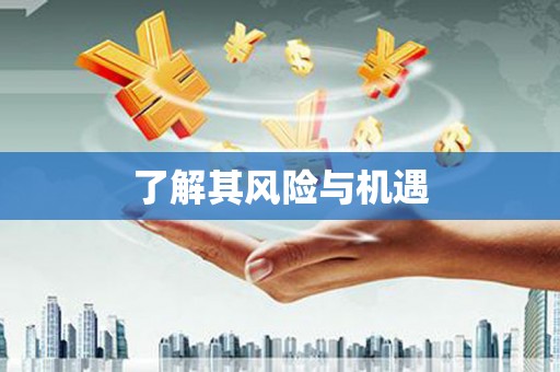 乐平了解其风险与机遇