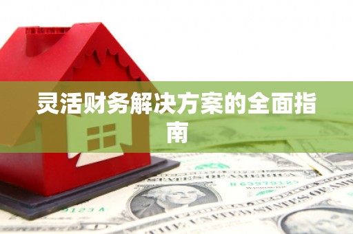 乐平灵活财务解决方案的全面指南