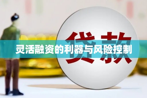 乐平灵活融资的利器与风险控制
