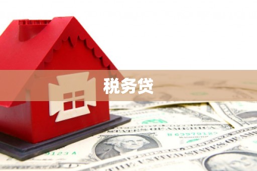 乐平税务贷