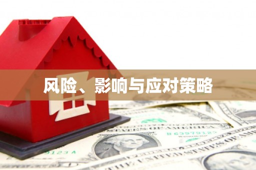 乐平风险、影响与应对策略