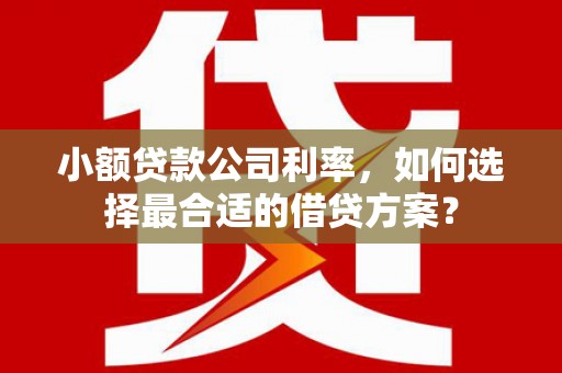 乐平小额贷款公司利率，如何选择最合适的借贷方案？