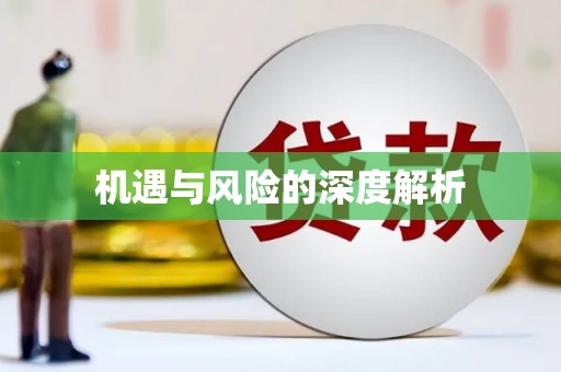 乐平机遇与风险的深度解析