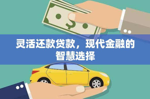 乐平灵活还款贷款，现代金融的智慧选择
