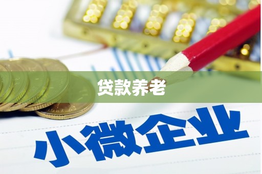 乐平贷款养老