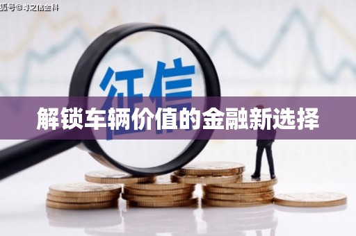 乐平解锁车辆价值的金融新选择