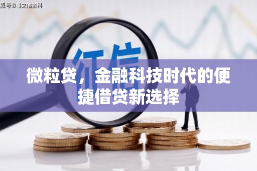 乐平微粒贷，金融科技时代的便捷借贷新选择