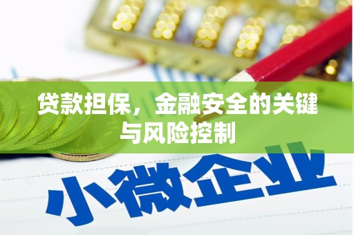 乐平贷款担保，金融安全的关键与风险控制