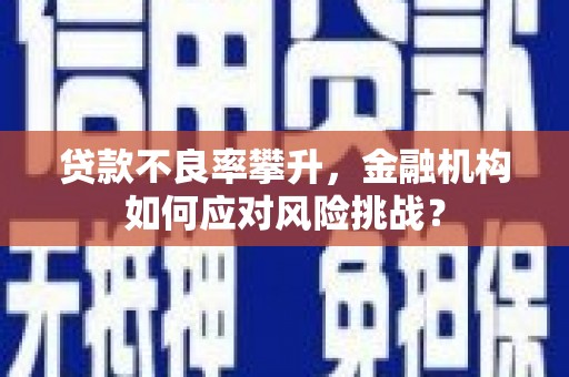 乐平贷款不良率攀升，金融机构如何应对风险挑战？