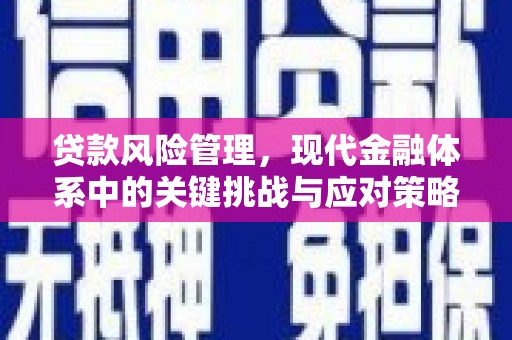 乐平贷款风险管理，现代金融体系中的关键挑战与应对策略