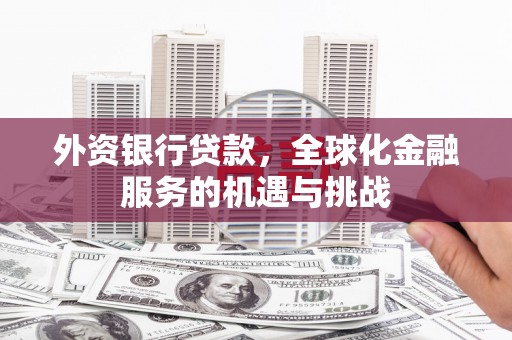 乐平外资银行贷款，全球化金融服务的机遇与挑战