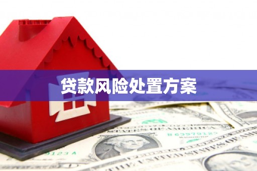 乐平贷款风险处置方案