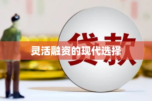 乐平灵活融资的现代选择