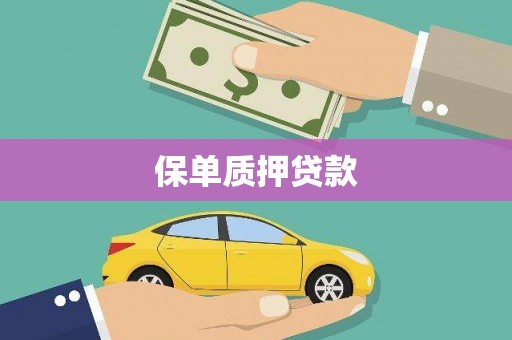 乐平保单质押贷款