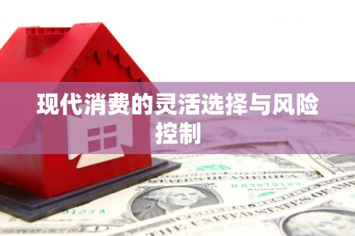 乐平现代消费的灵活选择与风险控制