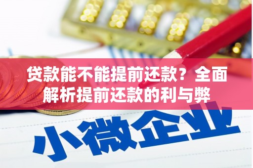 乐平贷款能不能提前还款？全面解析提前还款的利与弊