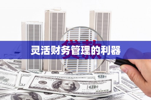 乐平灵活财务管理的利器