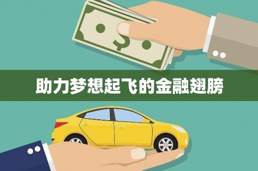 乐平助力梦想起飞的金融翅膀