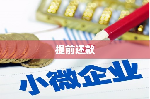 乐平提前还款